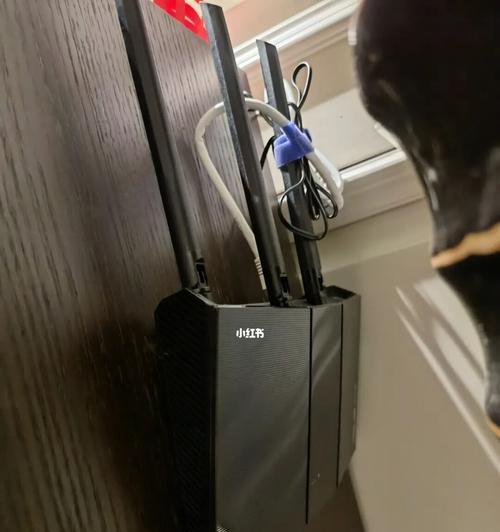选购最佳家用路由器，享受稳定高速网络连接（解析当前市场上最受好评的家用路由器品牌和型号）