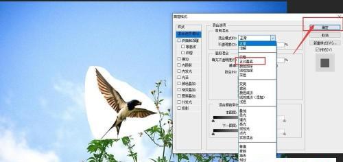 探索图片编辑修改软件的多样功能及应用（了解图片编辑修改软件的关键特性和使用方式）