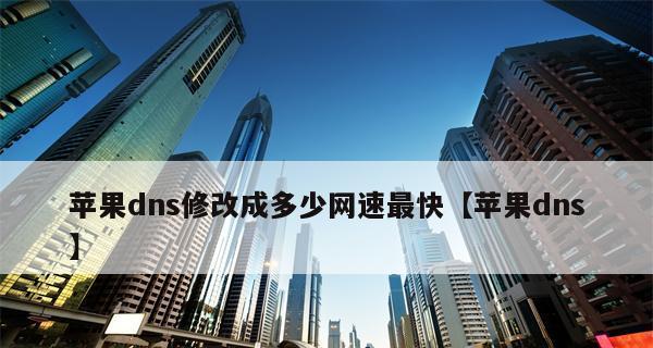 揭秘国内最快的DNS解析系统（提升网络速度的关键）