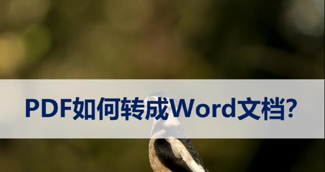 电脑上的实用方法（简单易行的PDF转Word方法）