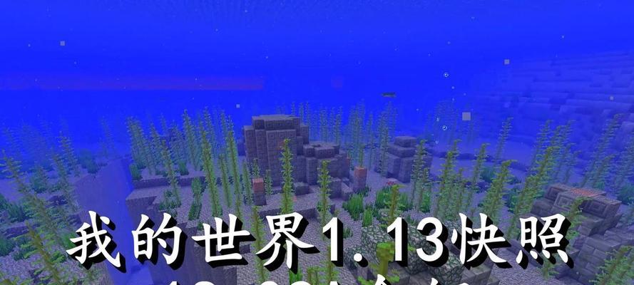 我的世界海底遗迹指令使用方法是什么？使用步骤有哪些？