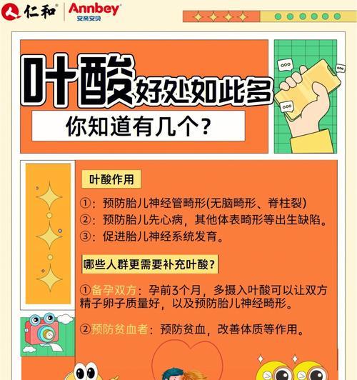属于叶酸的食物有哪些？如何通过饮食摄取足够的叶酸？