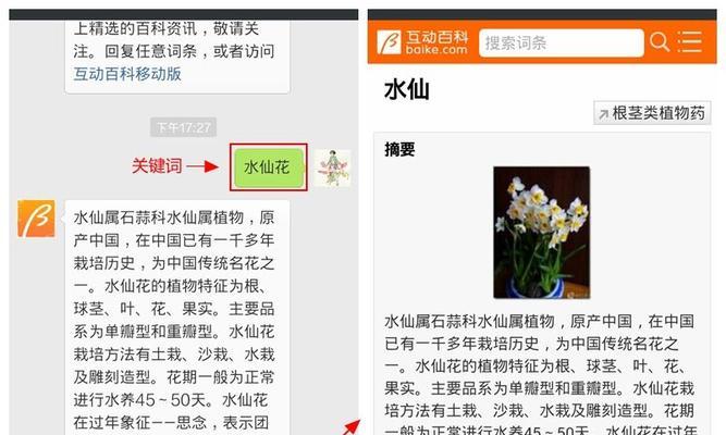 微信提取图片文字功能怎么用？操作步骤是什么？