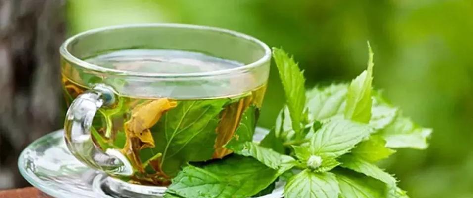 秋季喝什么茶对身体好？有哪些健康茶饮推荐？