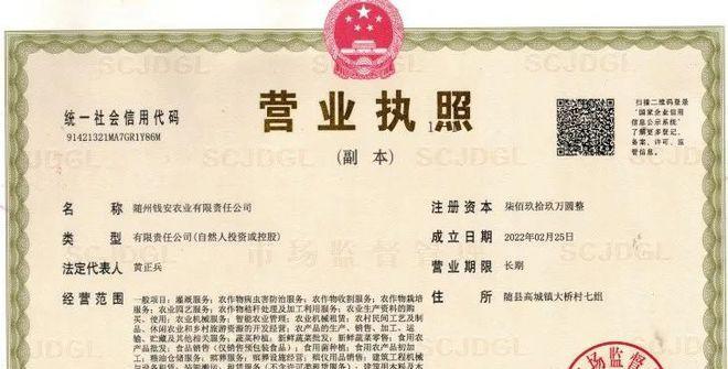 如何查询营业执照真伪？鉴别营业执照真伪的步骤是什么？