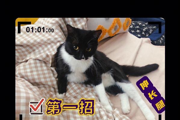 投影仪小猫拍照功能如何启用？