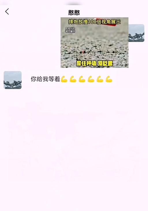 手机没电了如何处理？拍照摔炮还能用吗？